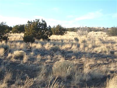 47 Central Alpine Ranch Flagstaff, AZ 86004 - Photo 1 of 1 Primary Photo
