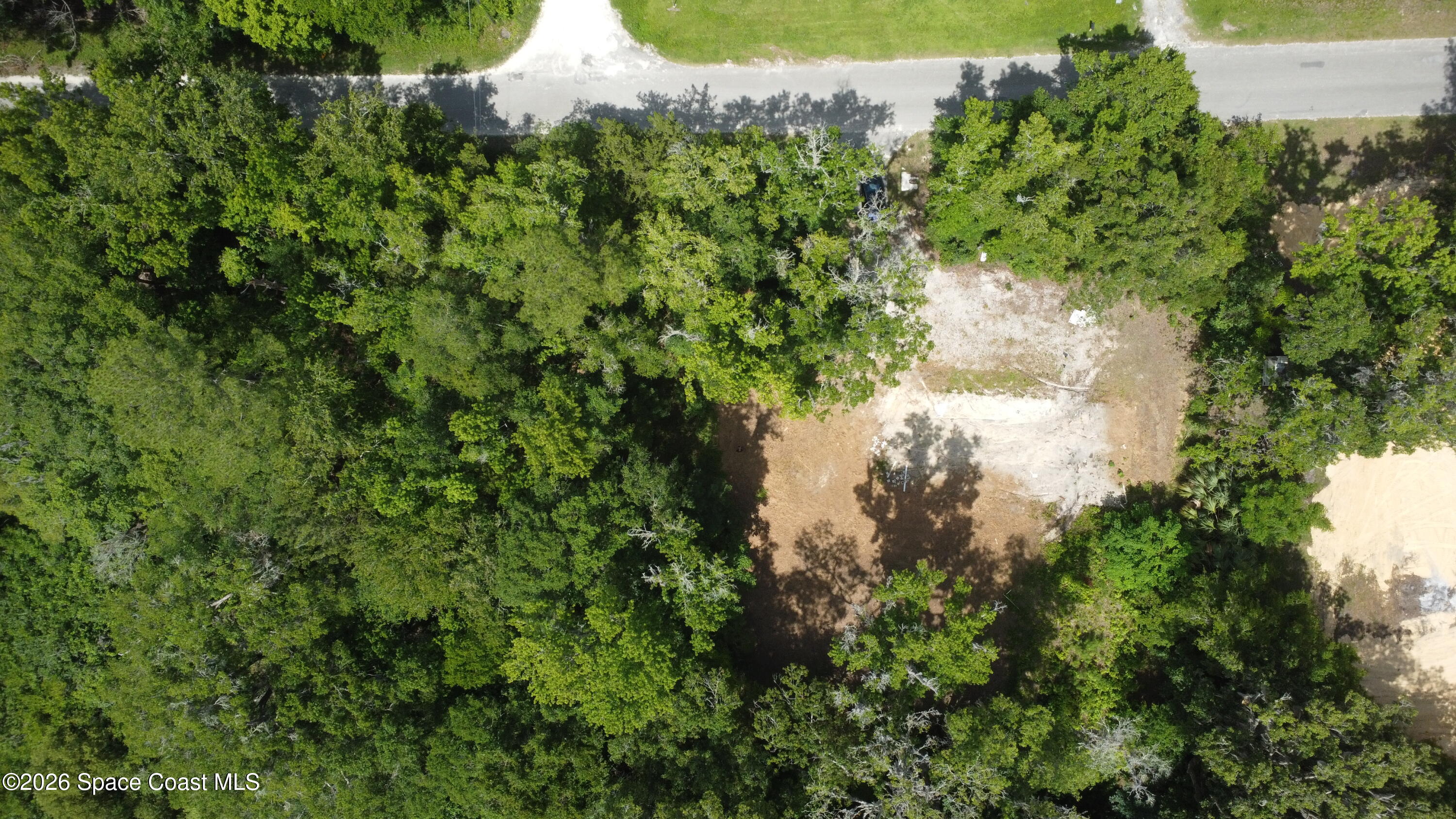 1130 Southwest 133rd Ave Road Ocala, FL 34481 - Photo 4 of 6 a view of a lush green forest
