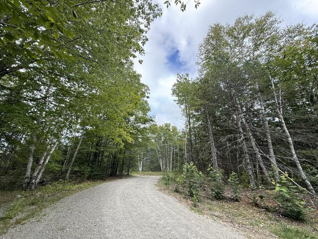 293 Yellow Birch Road Whiting, ME 04691 - Photo 93 of 94 IMG_4799