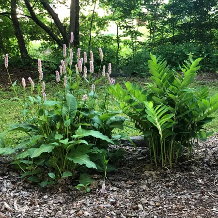 $420,000 | 3 Prospect Avenue, Randolph, VT 05060