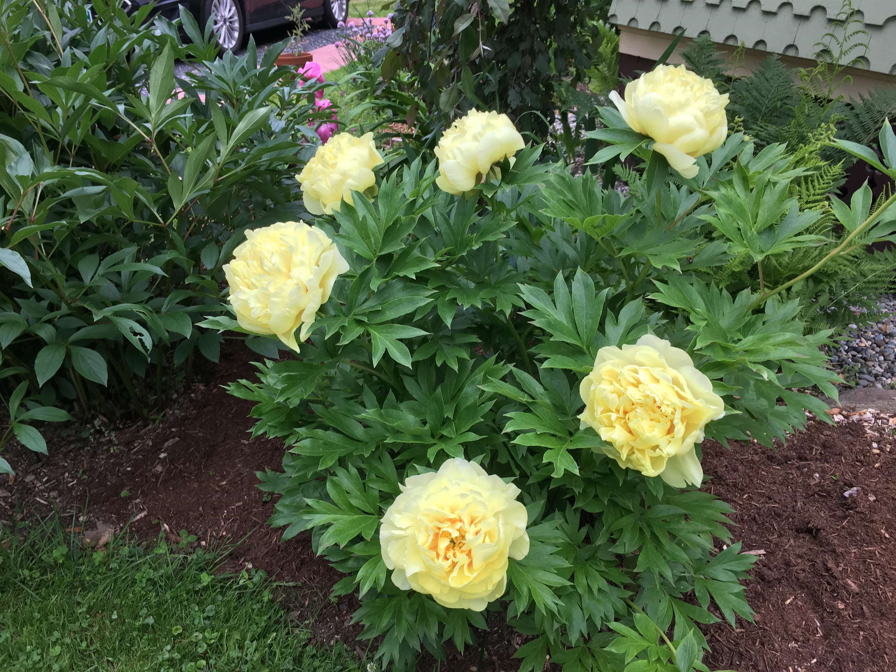 3 Prospect Avenue Randolph, VT 05060 - Photo 52 of 60