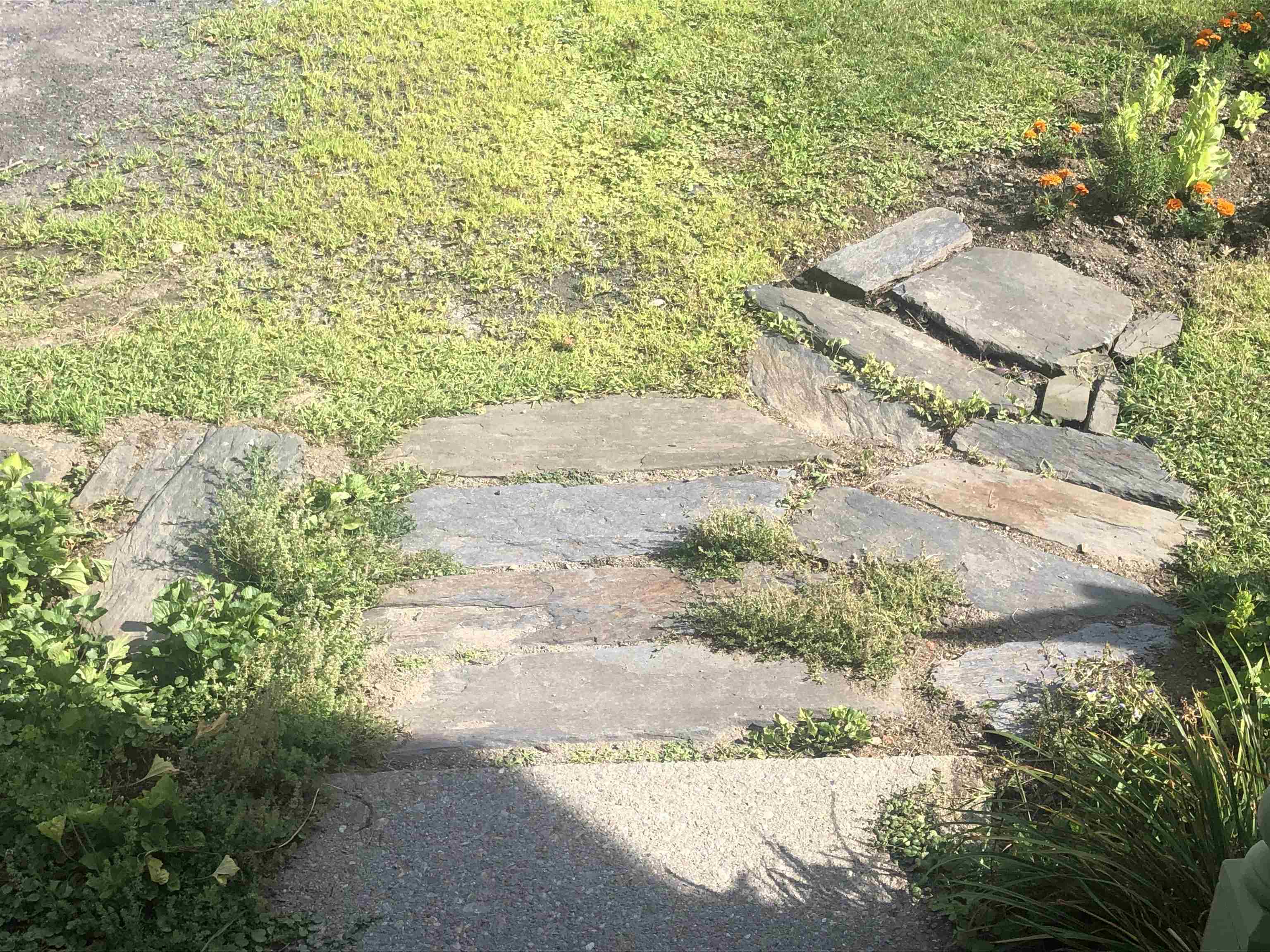 3 Prospect Avenue Randolph, VT 05060 - Photo 53 of 60