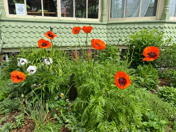 $420,000 | 3 Prospect Avenue, Randolph, VT 05060