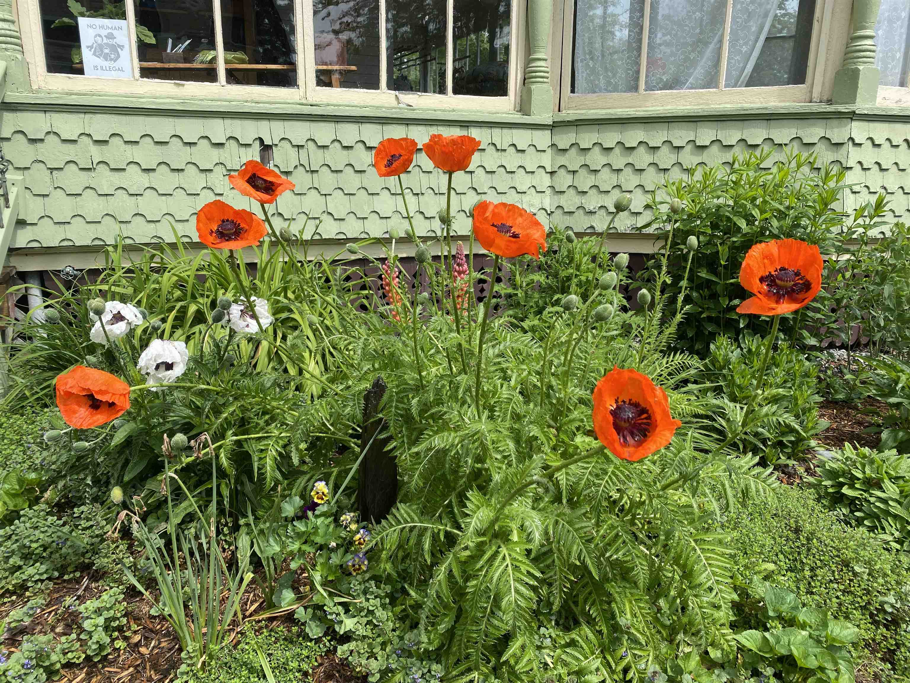 3 Prospect Avenue Randolph, VT 05060 - Photo 55 of 58