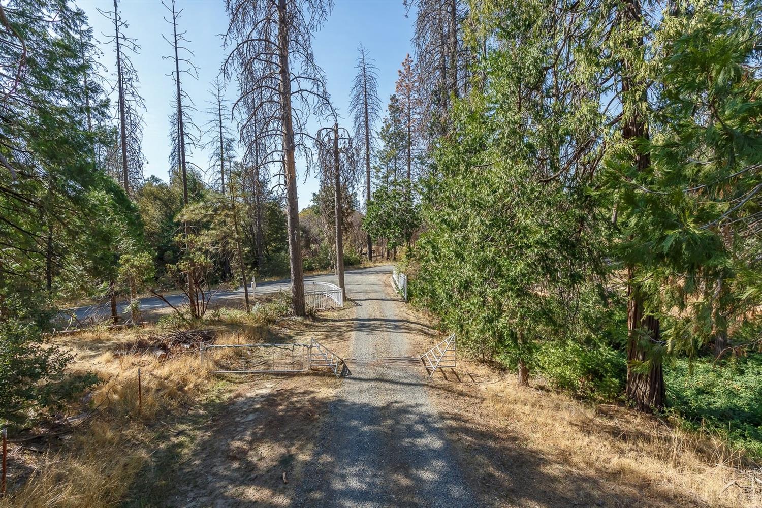 3158 East Westfall Road Mariposa, CA 95338 - Photo 59 of 70