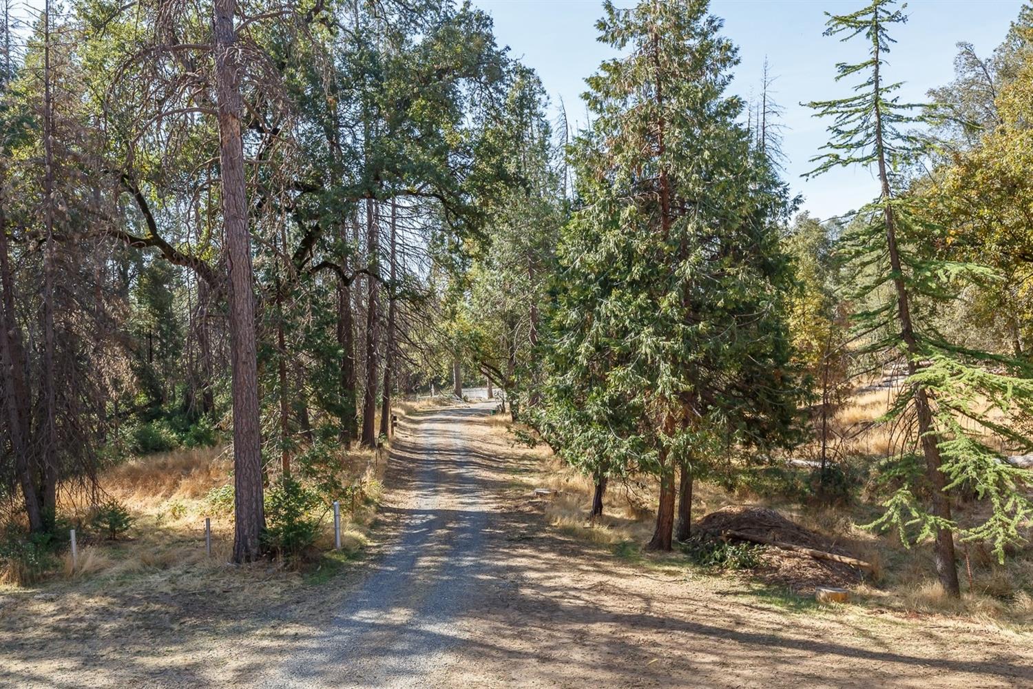 3158 East Westfall Road Mariposa, CA 95338 - Photo 60 of 70