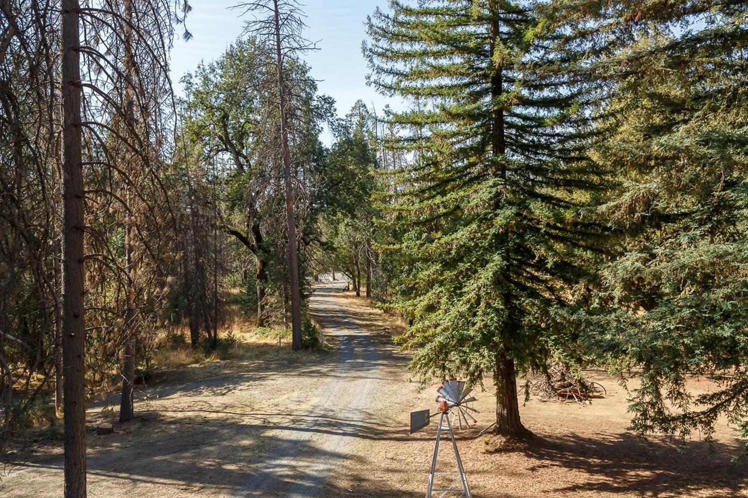 3158 East Westfall Road Mariposa, CA 95338 - Photo 63 of 70