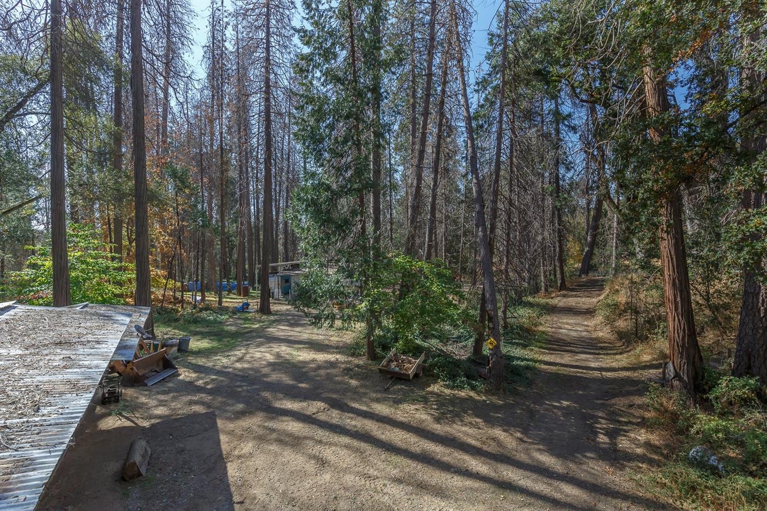 3158 East Westfall Road Mariposa, CA 95338 - Photo 69 of 70