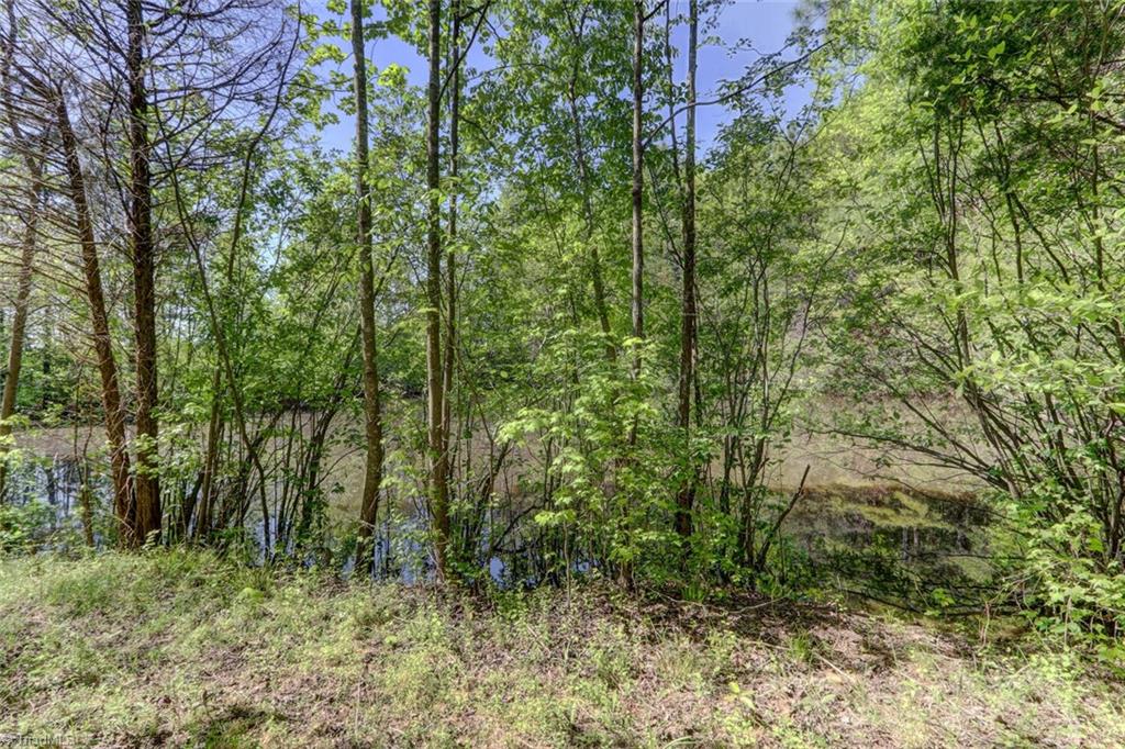 1130 County Line Road Reidsville, NC 27320 - Photo 36 of 39 Gallery Image 36