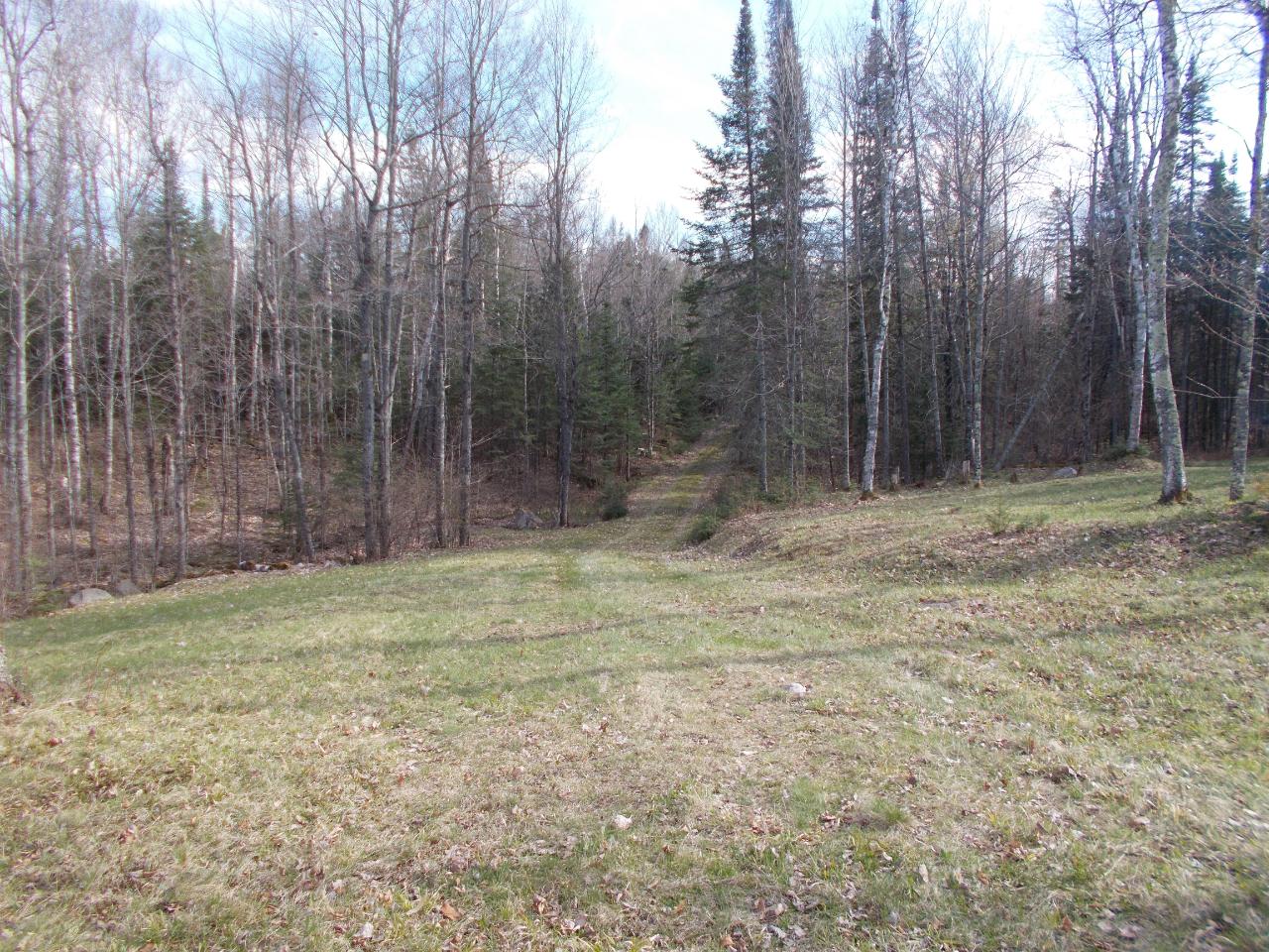 598 Cedar Lake Circle Mercer, WI 54547 - Photo 2 of 15 Gallery Image 2