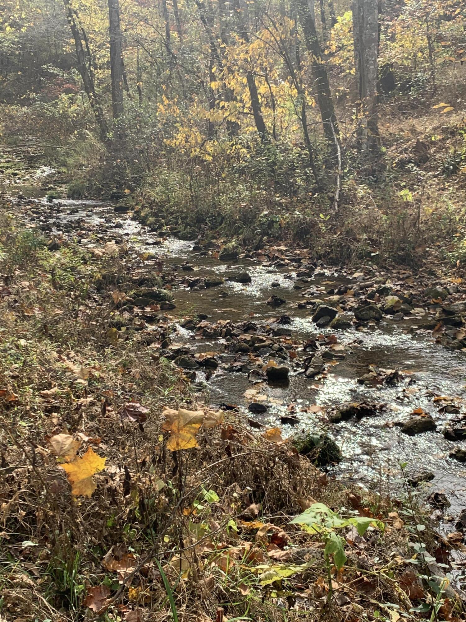 12320 Horton Ford Road Eidson, TN 37731 - Photo 4 of 5 IMG_1707