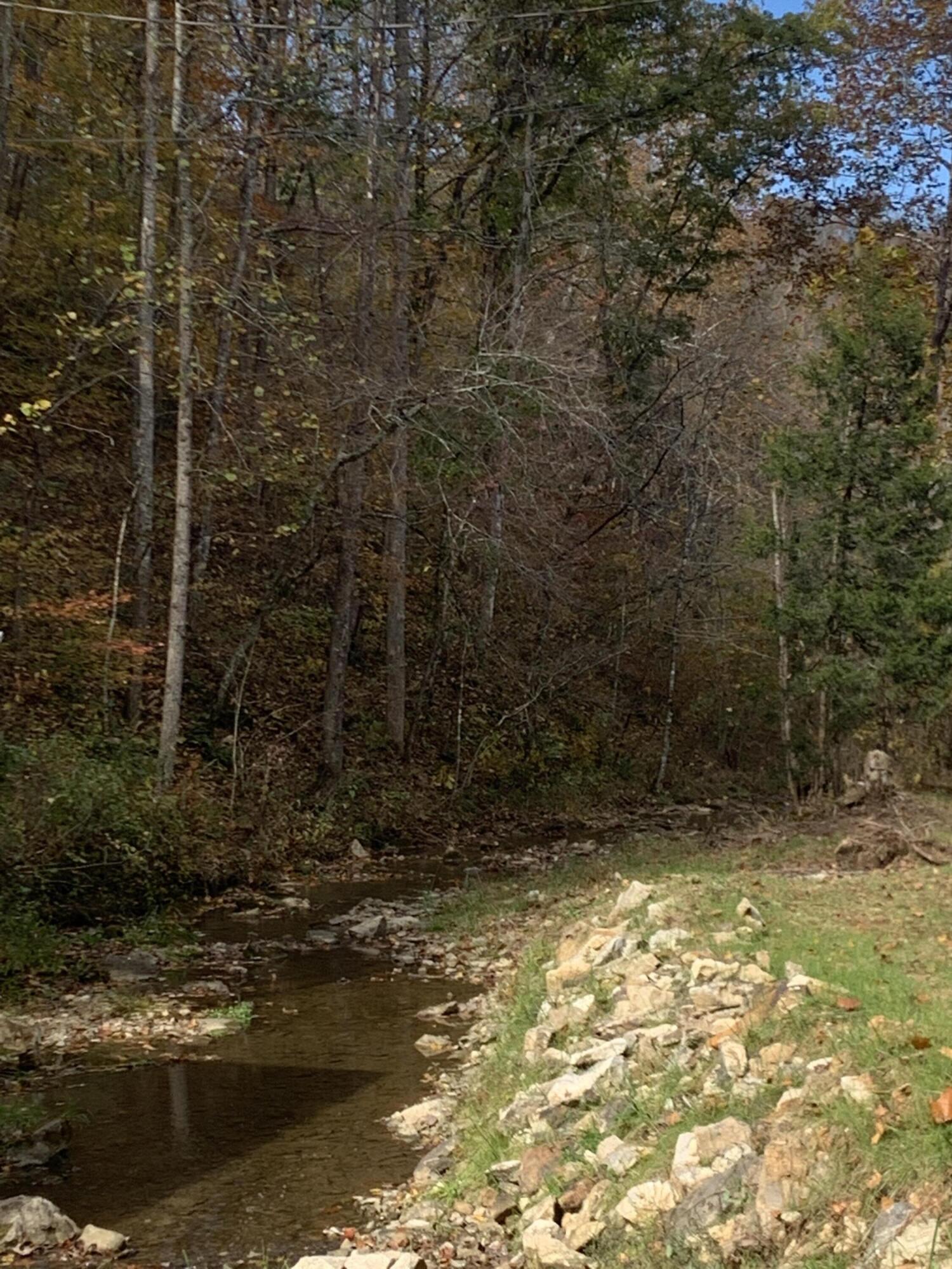 12320 Horton Ford Road Eidson, TN 37731 - Photo 5 of 5 IMG_1708