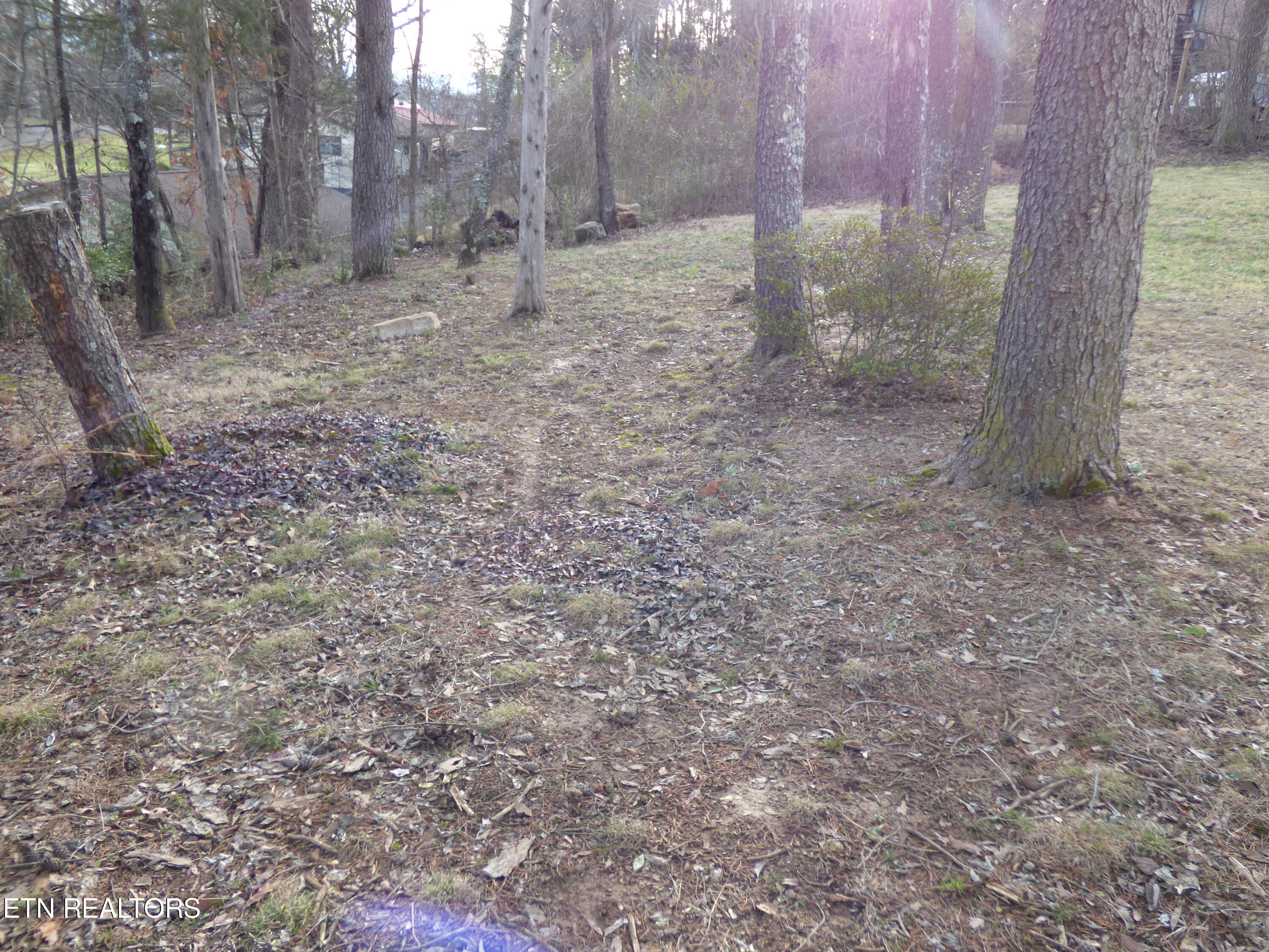 175 Terry Street Newport, TN 37821 - Photo 8 of 28 P1280950