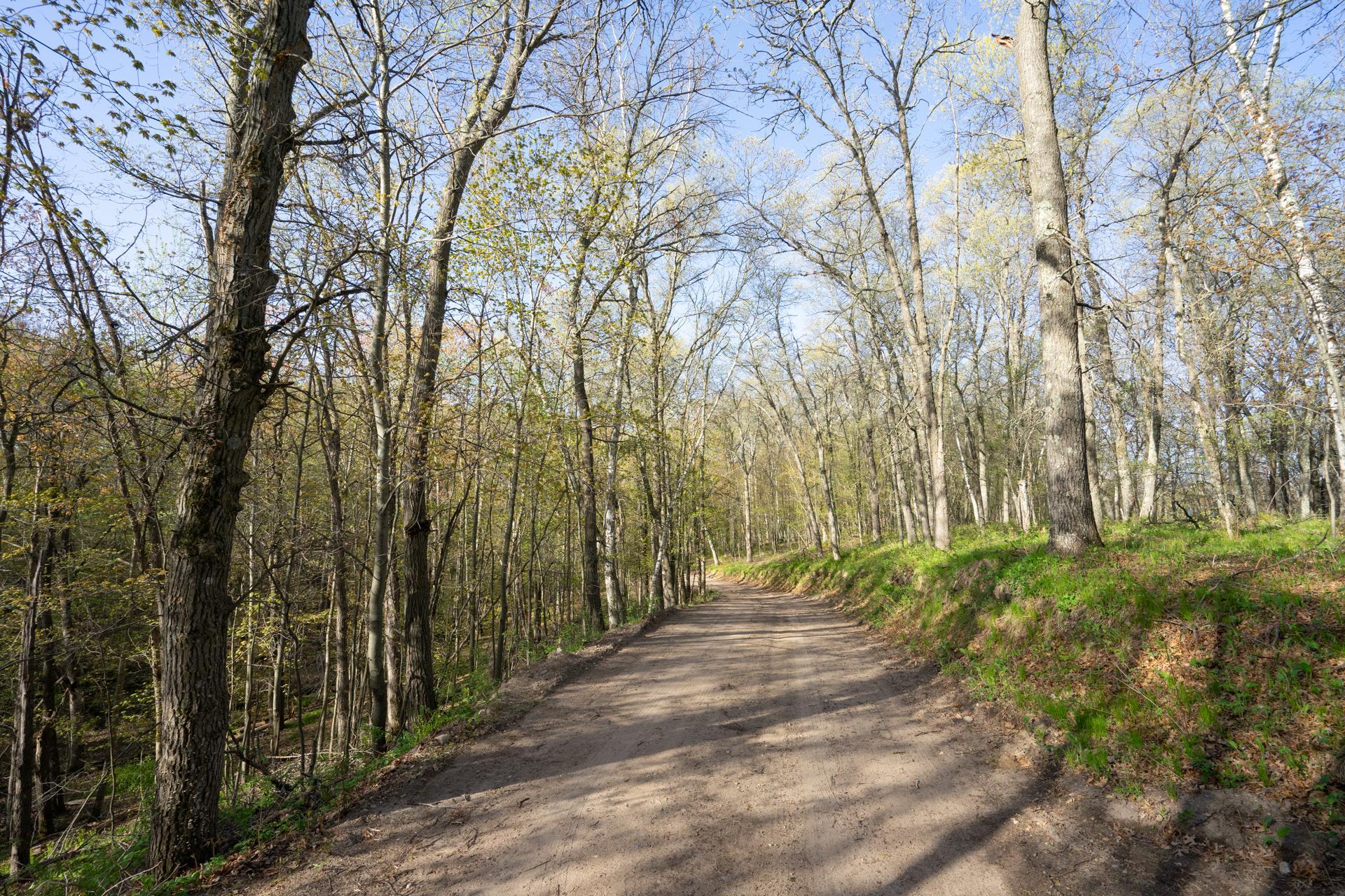 Xxx Timber Ridge Drive Baxter, MN 56425 - Photo 23 of 38