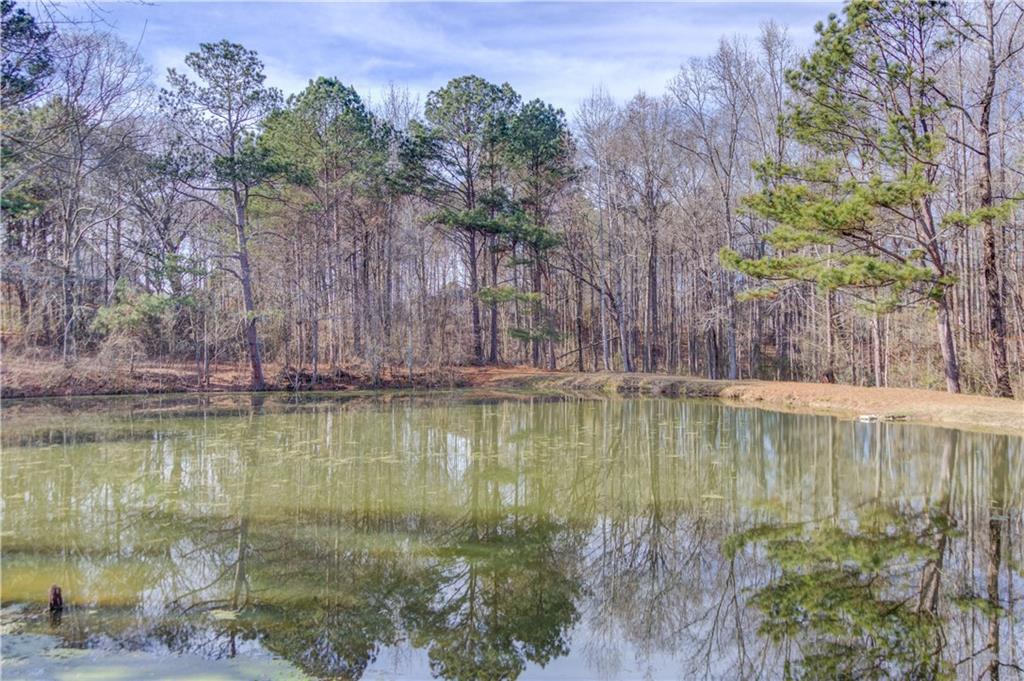 2630 Snowcrest Place Bethlehem, GA 30620 - Photo 39 of 39