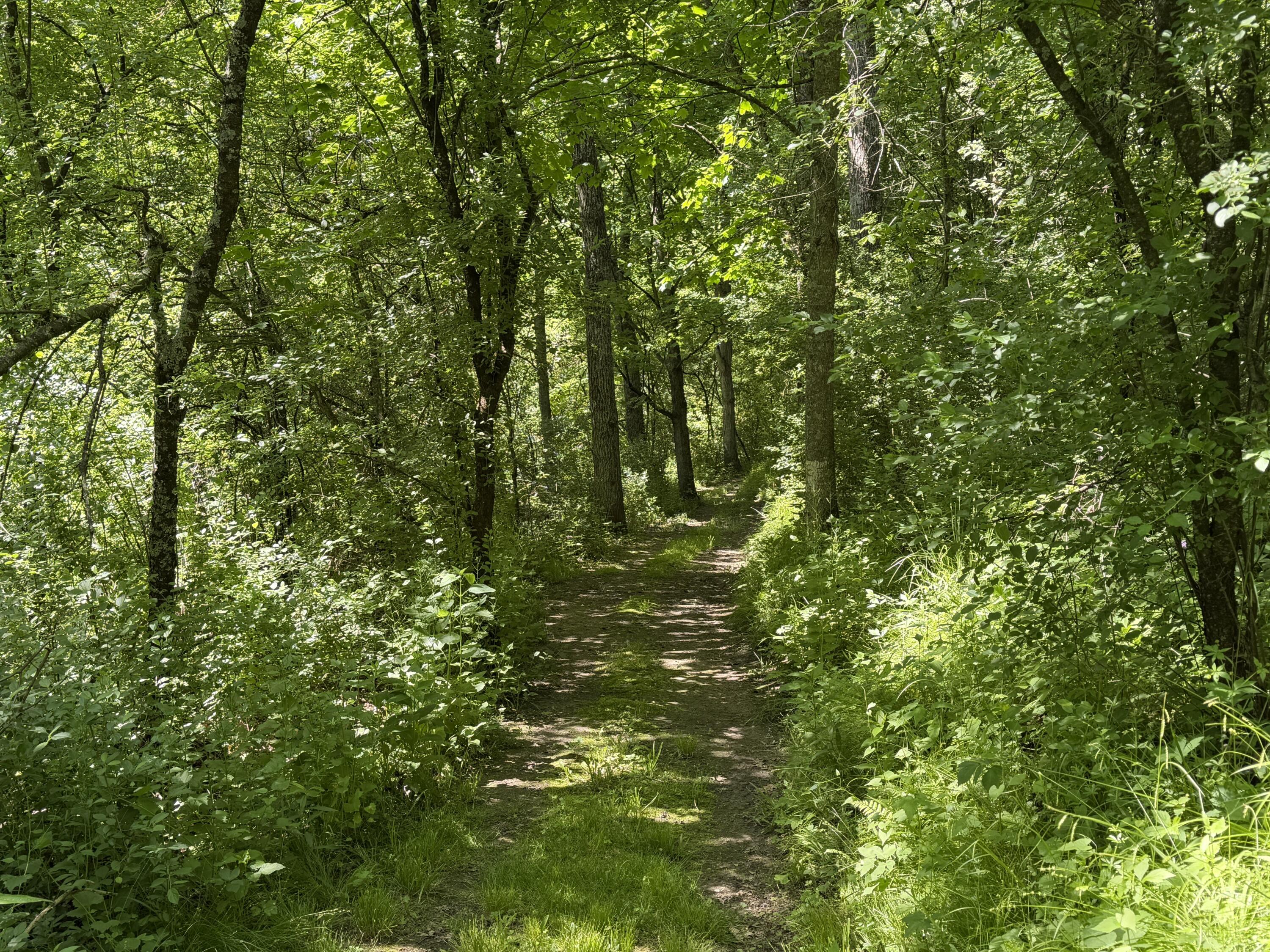 S7750 Carter Valley Lane Kickapoo, WI 54652 - Photo 26 of 54 20260529_155641597_iOS