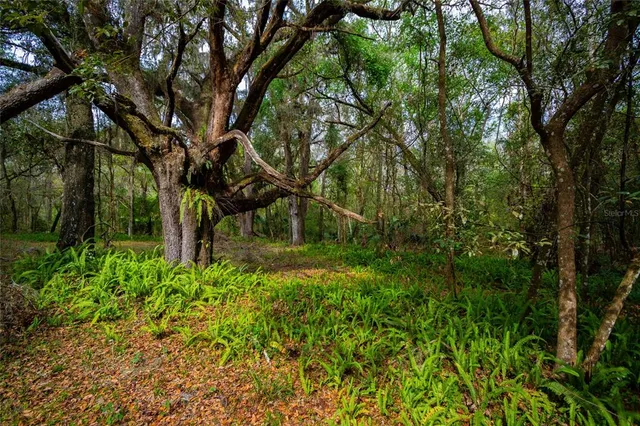 $750,000 | 7822 Cr 647 Bushnell, Bushnell, FL 33513