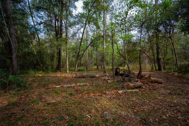 $750,000 | 7822 Cr 647 Bushnell, Bushnell, FL 33513