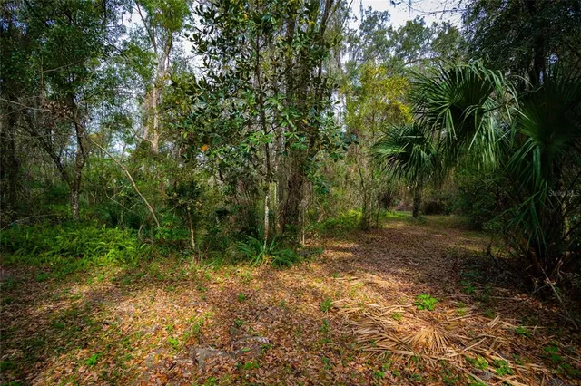 $750,000 | 7822 Cr 647 Bushnell, Bushnell, FL 33513