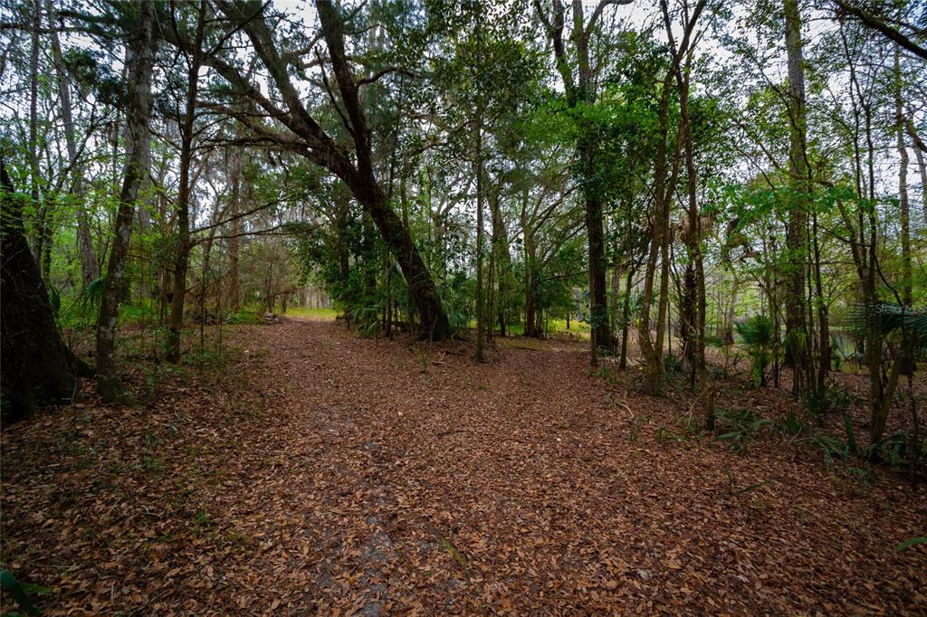 7822 Cr 647 Bushnell Bushnell, FL 33513 - Photo 5 of 24