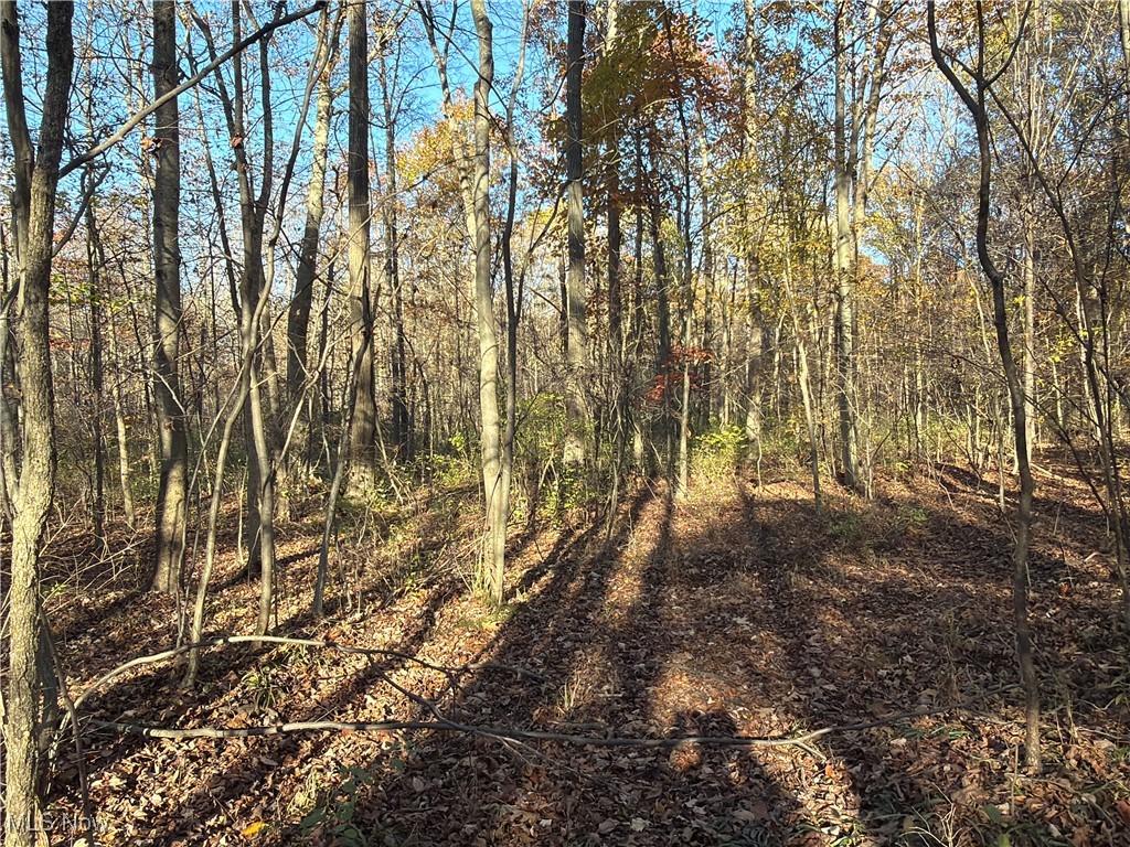 307 State Route Dorset, OH 44032 - Photo 21 of 50