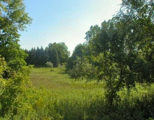 4450 Brogan Road Stockbridge, MI 49285 - Photo 1 of 1 Photo 1