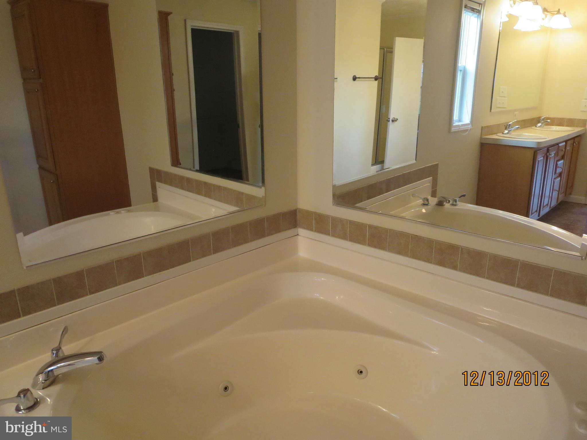 20182 Old Mill Road Culpeper, VA 22701 - Photo 16 of 26 Bath (Master)
