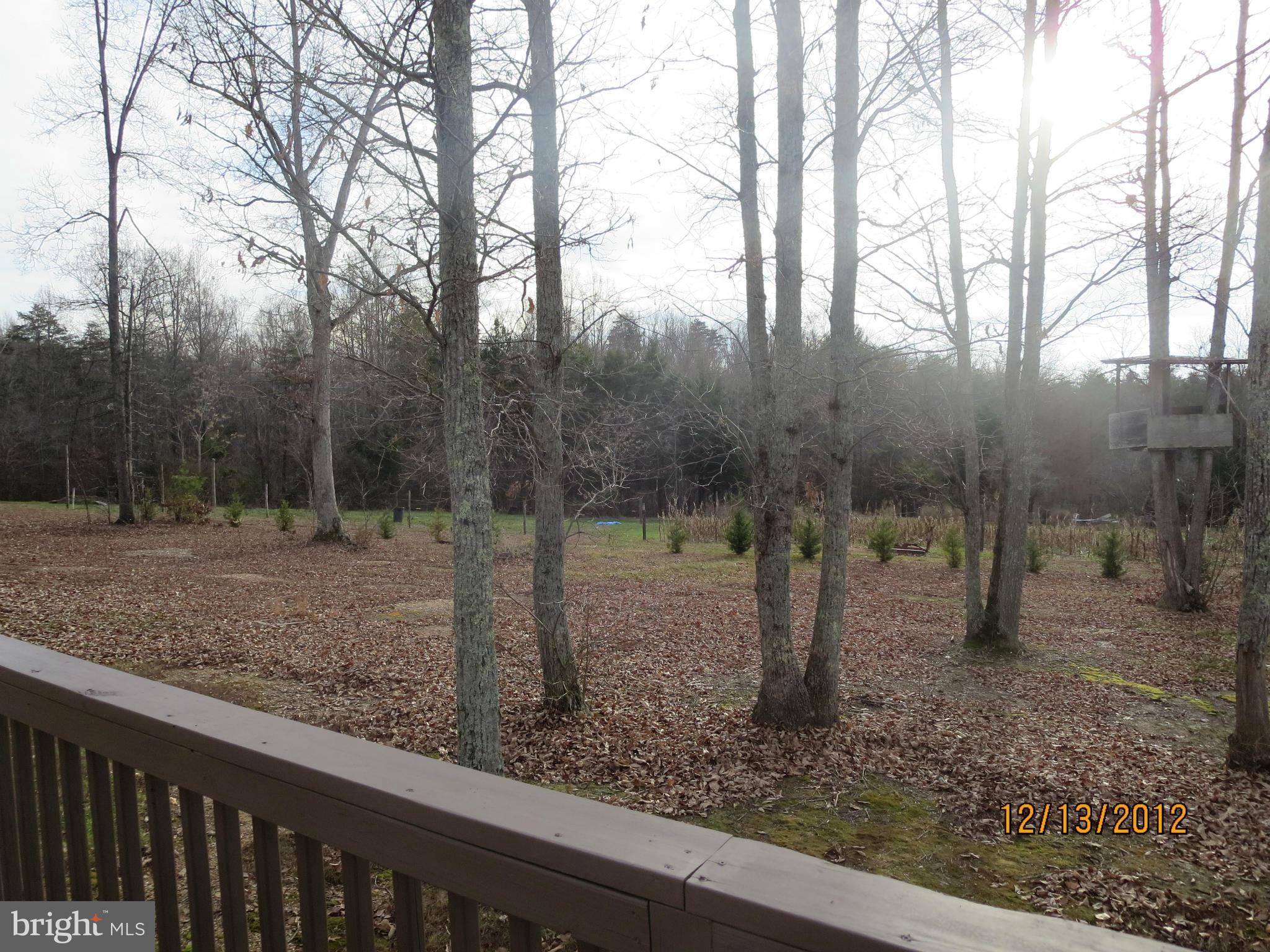 20182 Old Mill Road Culpeper, VA 22701 - Photo 22 of 26 Exterior (Rear)