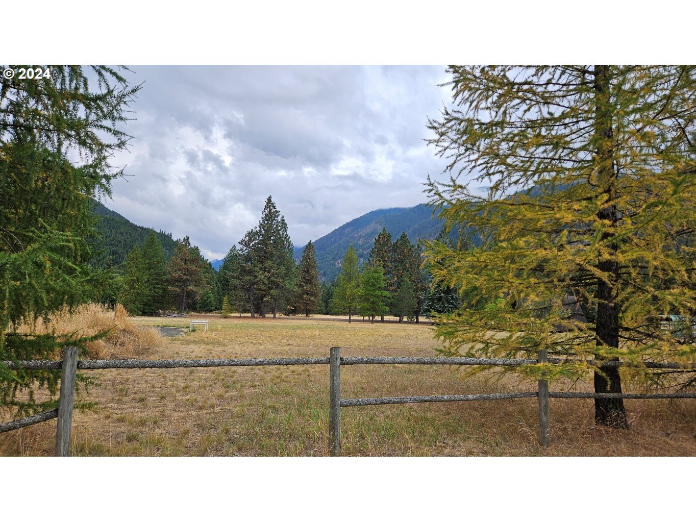 64940 Fir Road Lostine, OR 97857 - Photo 2 of 7 a black and white photo of a yard