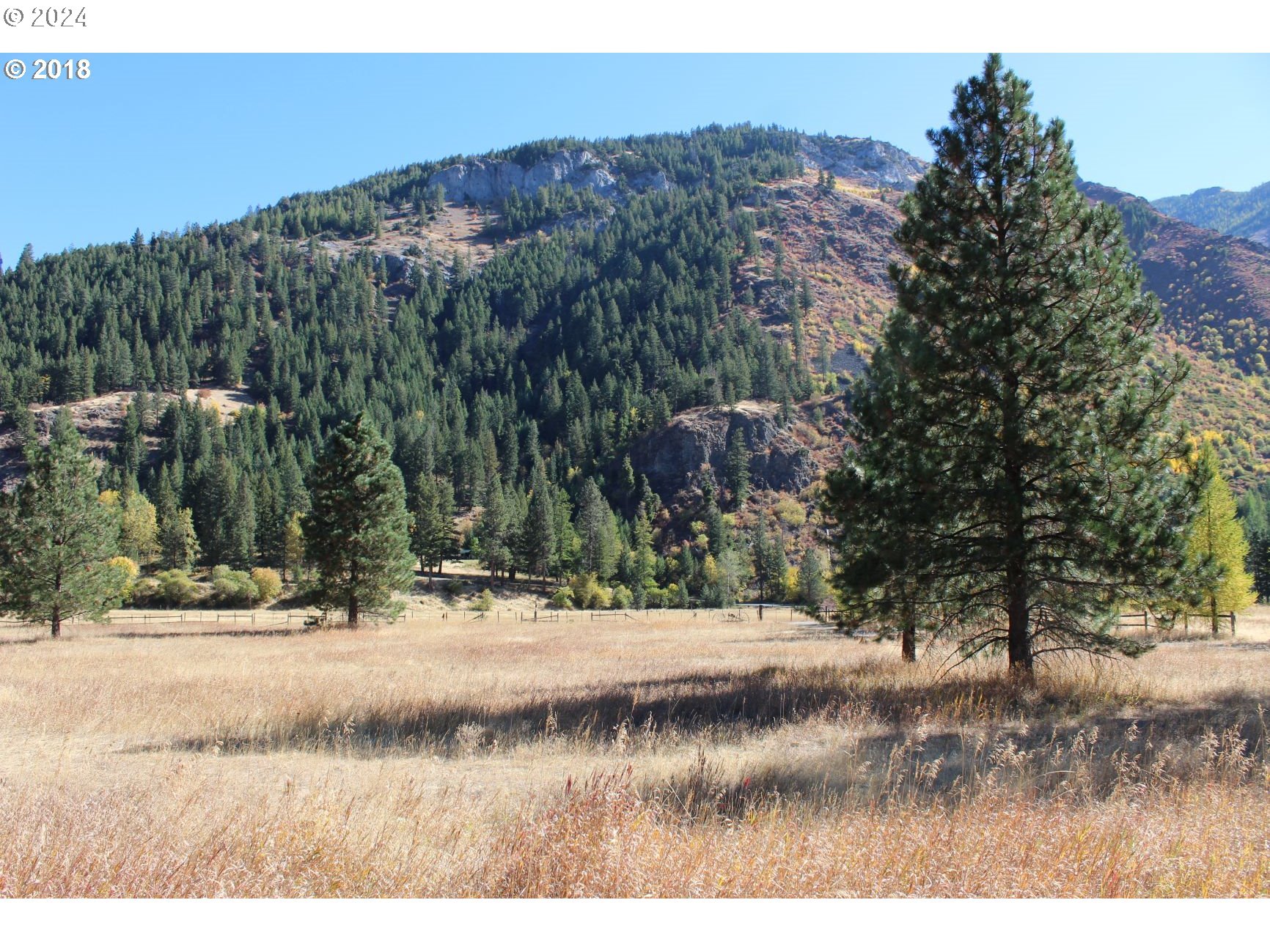64940 Fir Road Lostine, OR 97857 - Photo 3 of 7 a view of a yard with a tree