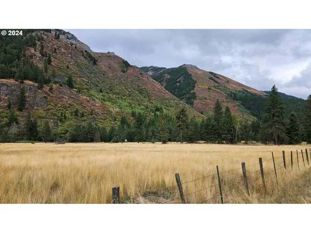 a black and white photo of a house
