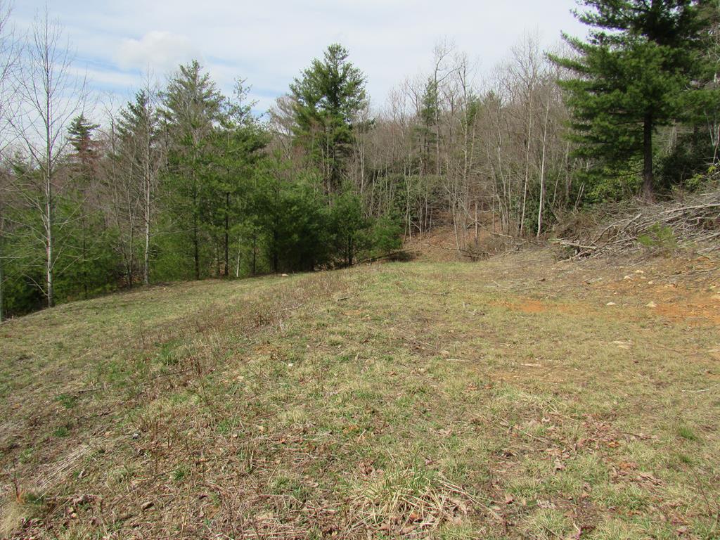 2605 Joy Ranch Road Woodlawn, VA 24381 - Photo 1 of 1 Gallery Image 1