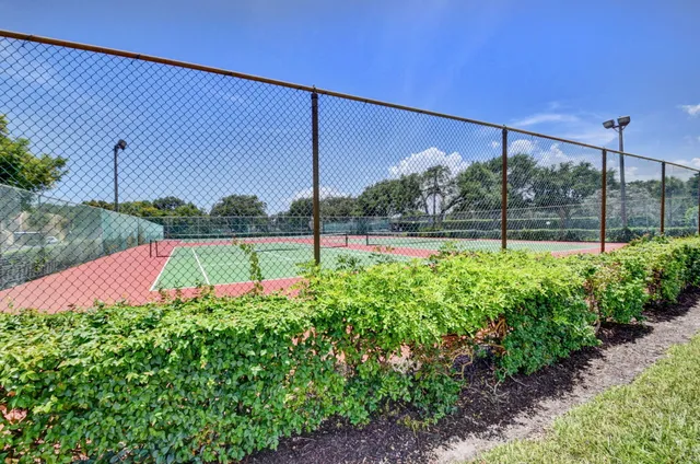 a view of a back yard