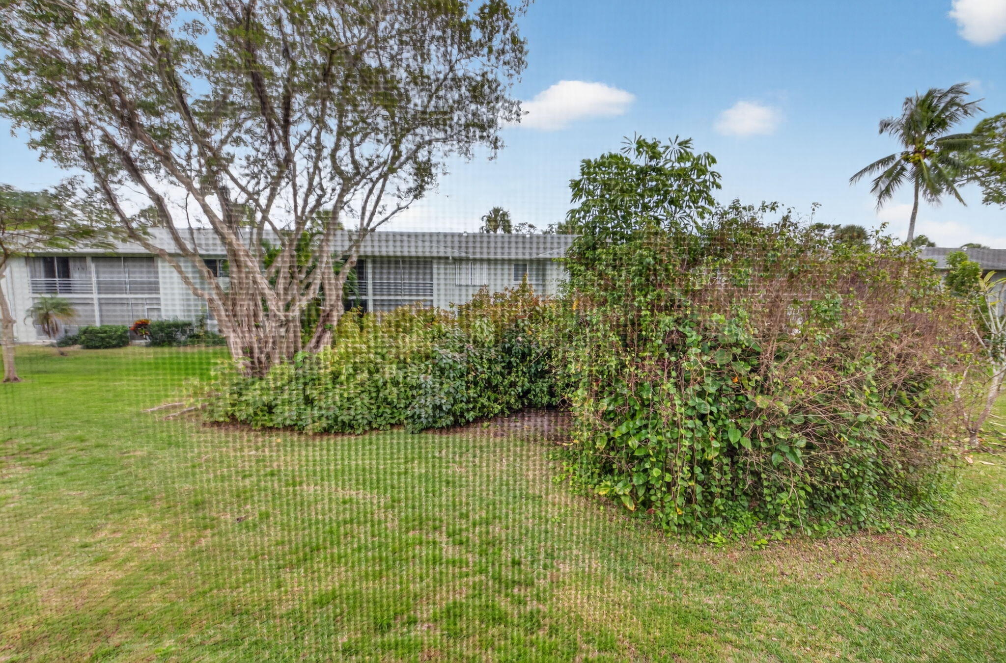 2340 Southwest 22nd Avenue, Unit 312 Delray Beach, FL 33445 - Photo 44 of 45 a view of a house with a tree and a yard