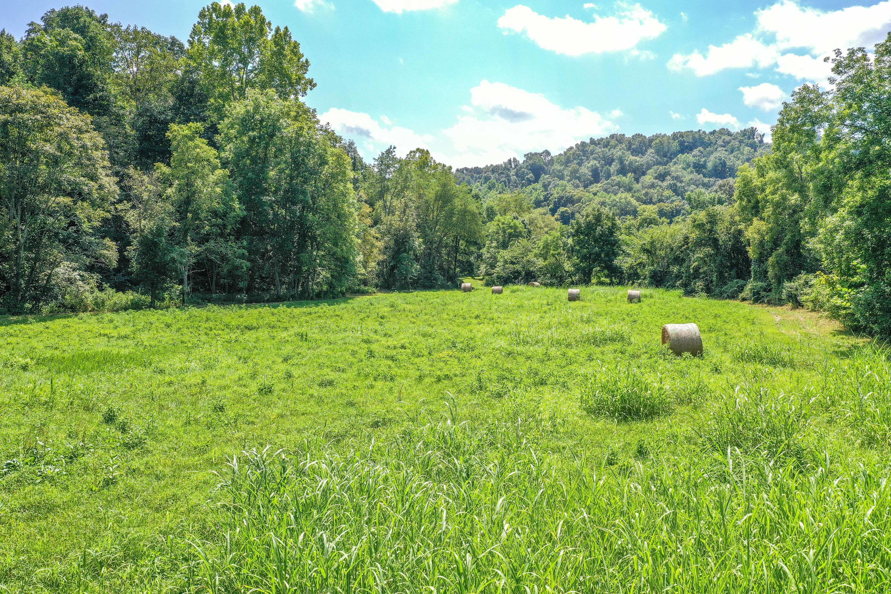 0 Ray Road Ray, OH 45672 - Photo 14 of 29