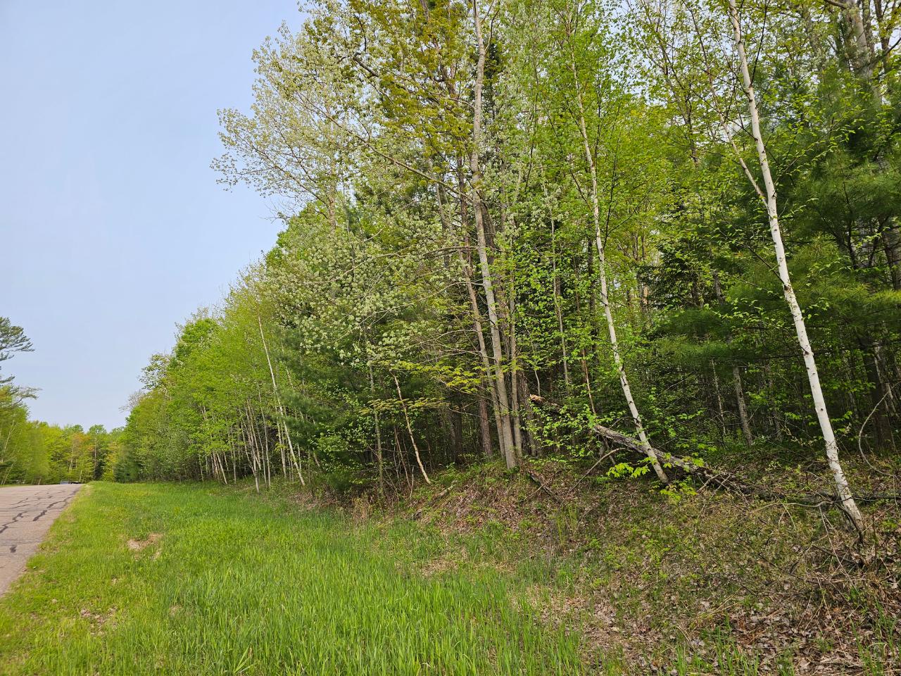 Lot 11 Eagle Waters Road Rhinelander, WI 54501 - Photo 28 of 30 Gallery Image 28