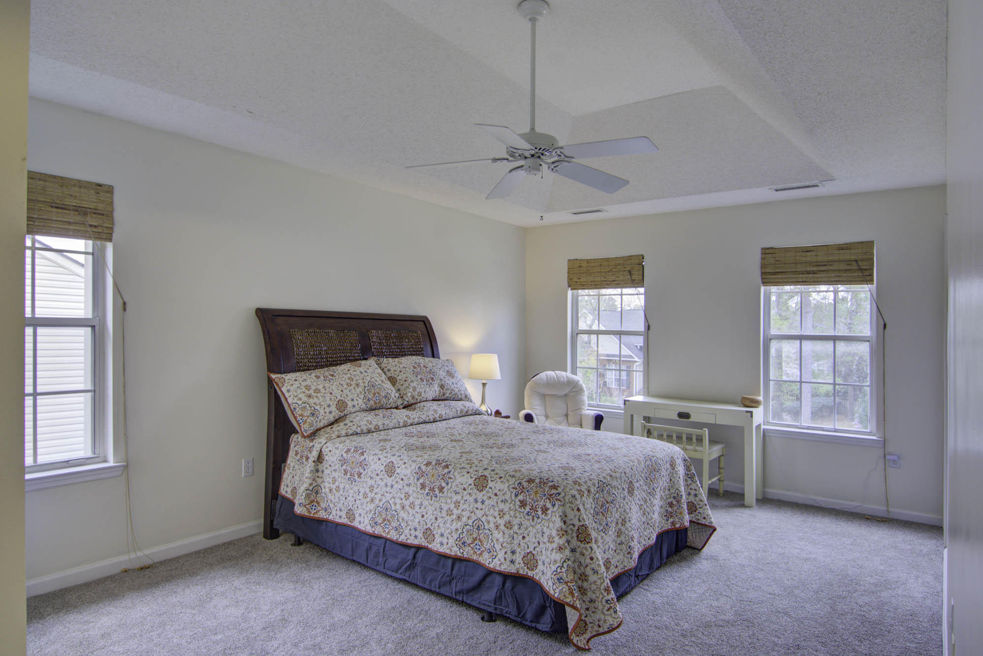 2519 Woodstream Road Mount Pleasant, SC 29466 - Photo 13 of 32 Owner's Bedroom with Tray Ceiling