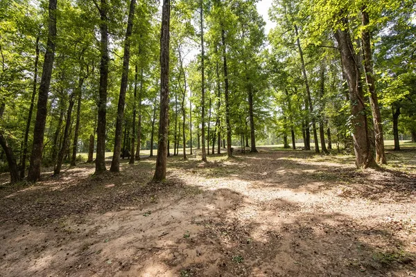 $450,000 | 160 Hunting Creek Way, Midland, GA 31820