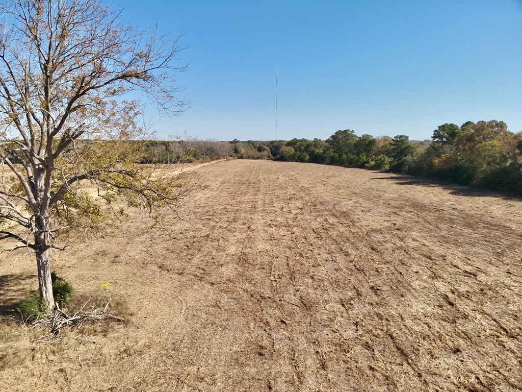 10.73-acres Huskey Road Dothan, AL 36303 - Photo 10 of 13