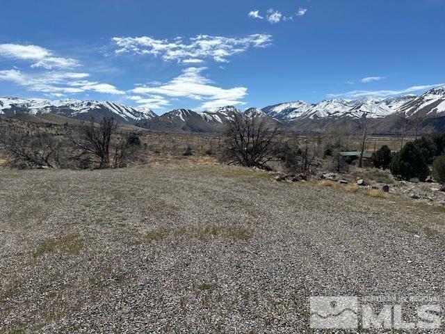 157 Eastside Road Coleville, CA 96107 - Photo 17 of 36 Photo 17