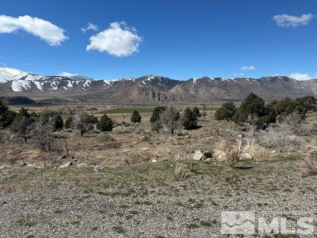 157 Eastside Road Coleville, CA 96107 - Photo 18 of 36 Photo 18