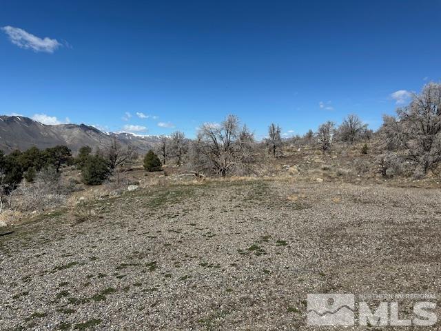 157 Eastside Road Coleville, CA 96107 - Photo 19 of 36 Photo 19