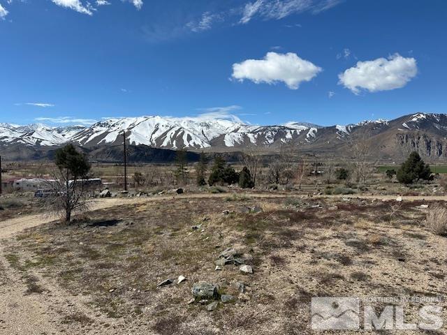 157 Eastside Road Coleville, CA 96107 - Photo 2 of 36 Photo 2
