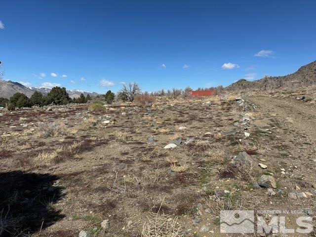 157 Eastside Road Coleville, CA 96107 - Photo 26 of 36 Photo 26