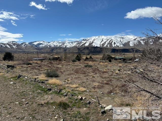 157 Eastside Road Coleville, CA 96107 - Photo 5 of 36 Photo 5