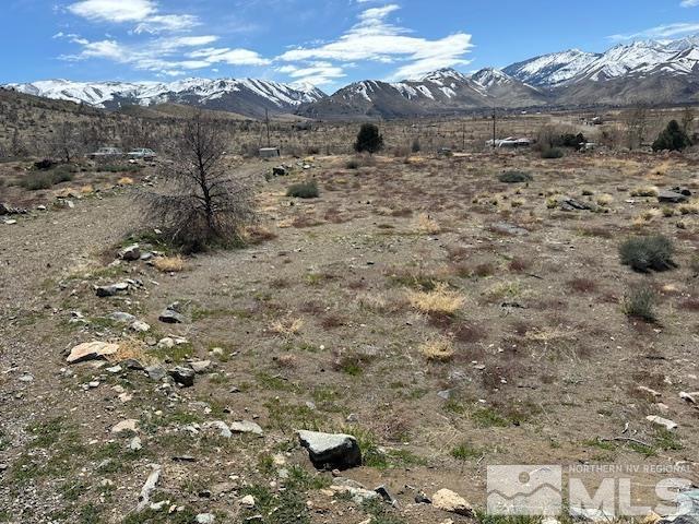 157 Eastside Road Coleville, CA 96107 - Photo 8 of 36 Photo 8