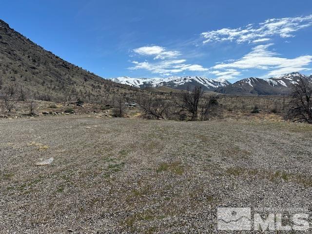 157 Eastside Road Coleville, CA 96107 - Photo 10 of 36 Photo 10