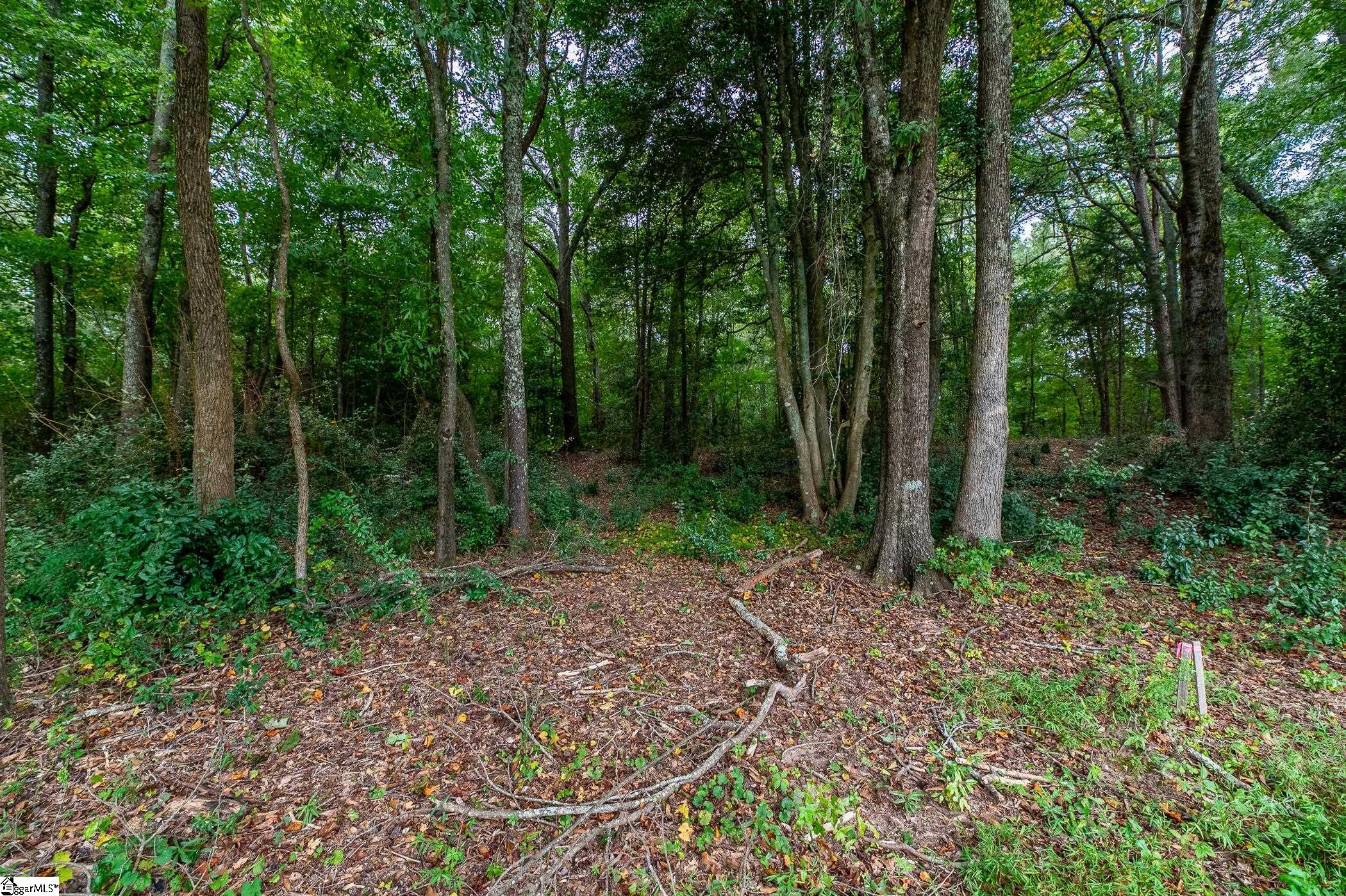 149 Tate Chapman Road Simpsonville, SC 29681 - Photo 5 of 16 Gallery Image 5