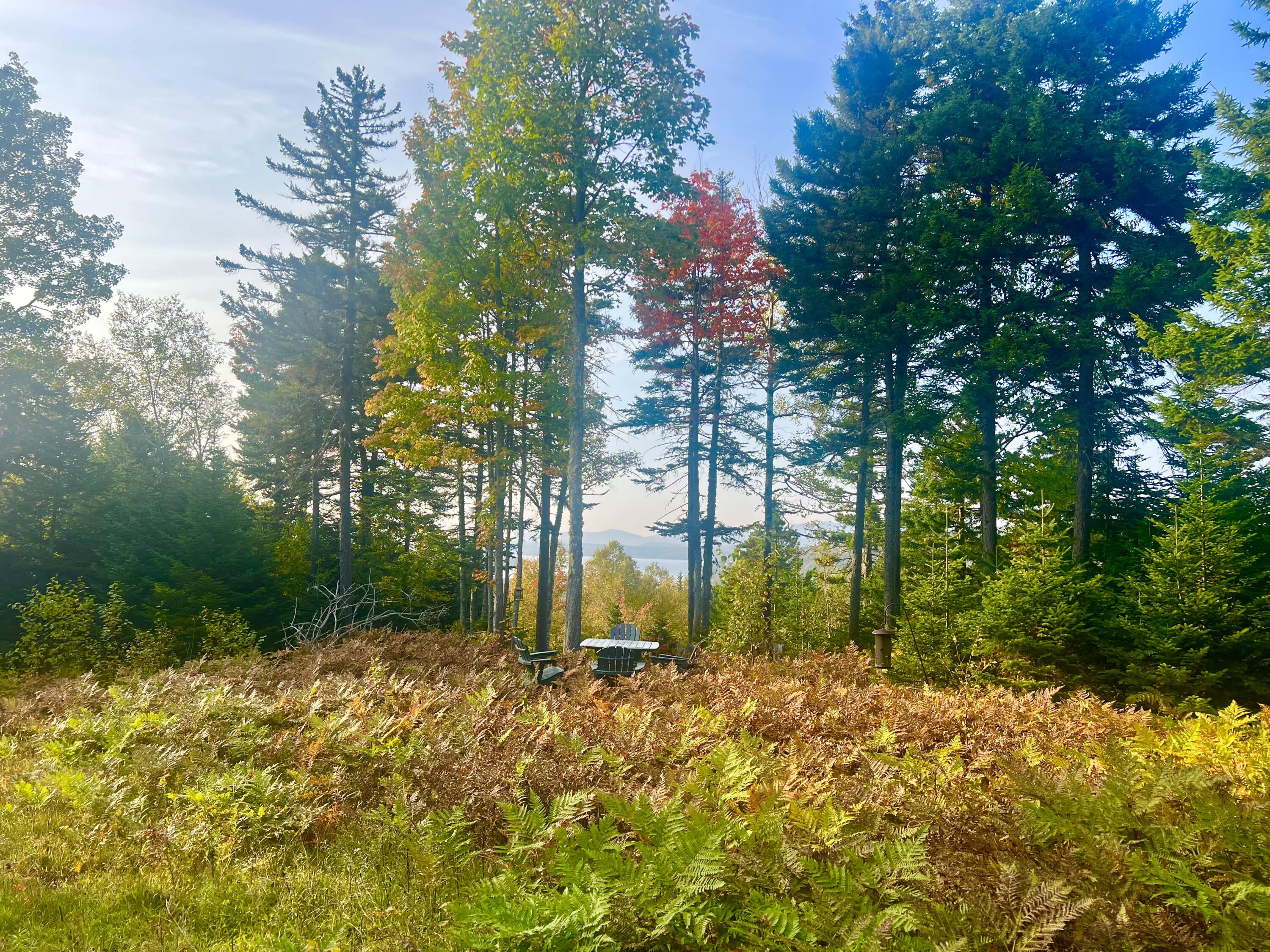 13 Mill Brook Road Sandy River Plt, ME 04970 - Photo 1 of 21 Rangeley Lake View