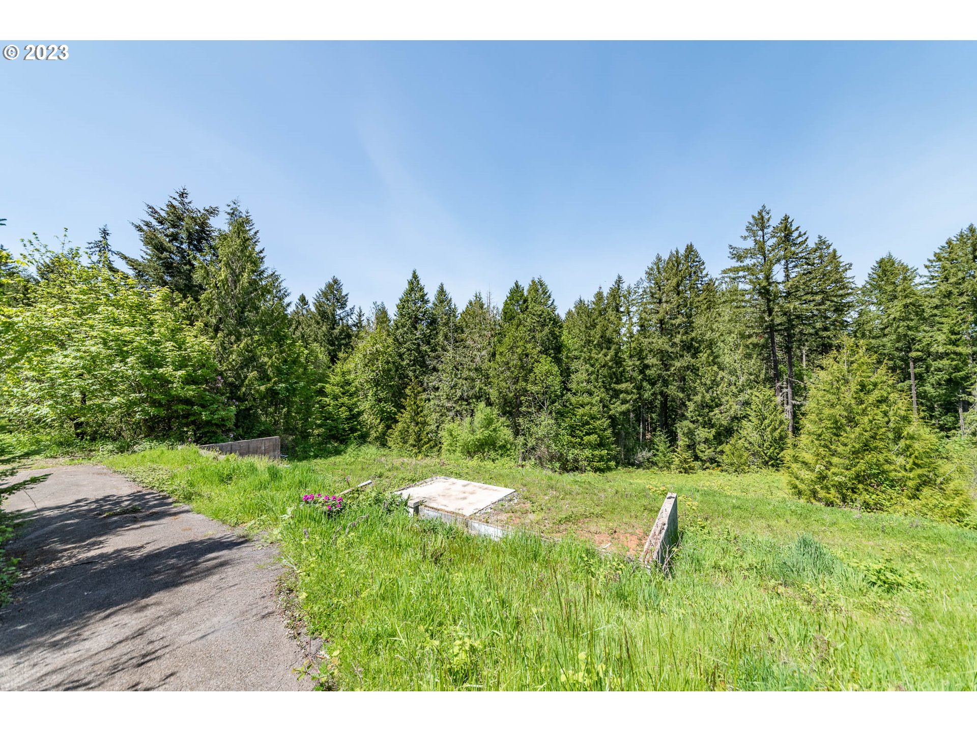 34960 Garoutte Road Cottage Grove, OR 97424 - Photo 8 of 17 Gallery Image 8